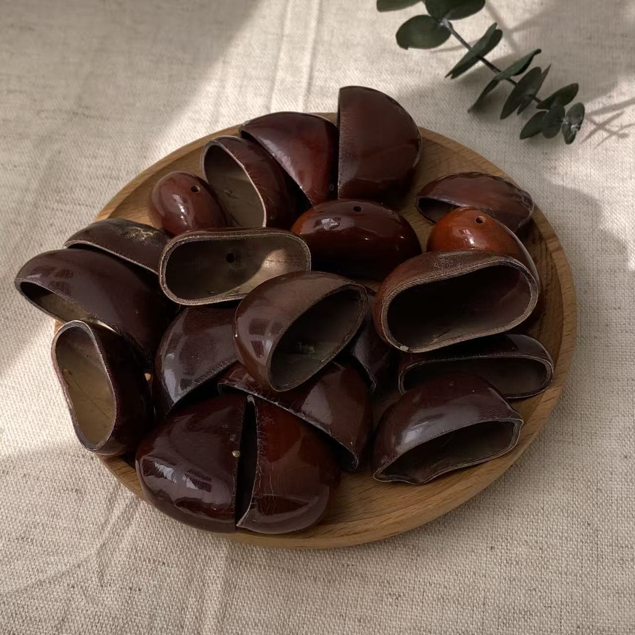 Juju Plant Shell Bell DIY Hand-cranked Bell - Craft Kit for Making Plant Wind Chimes