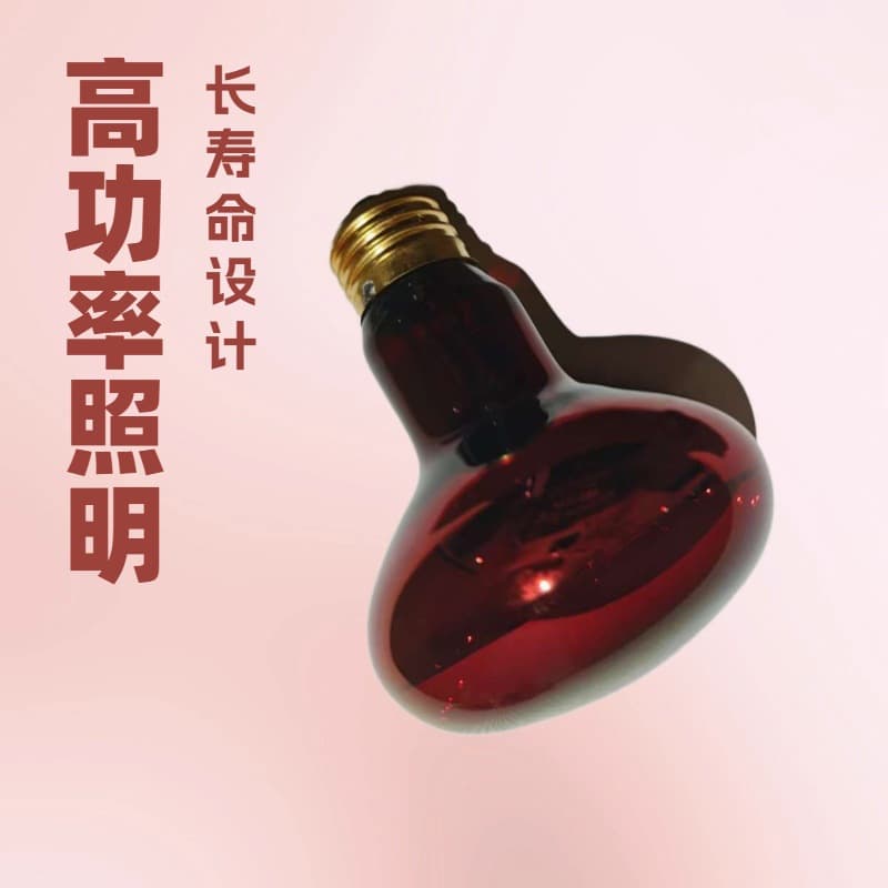 Wholesale Infrared Therapy Bulb R95E 230V100W for Medical Beauty Heating and Insulation