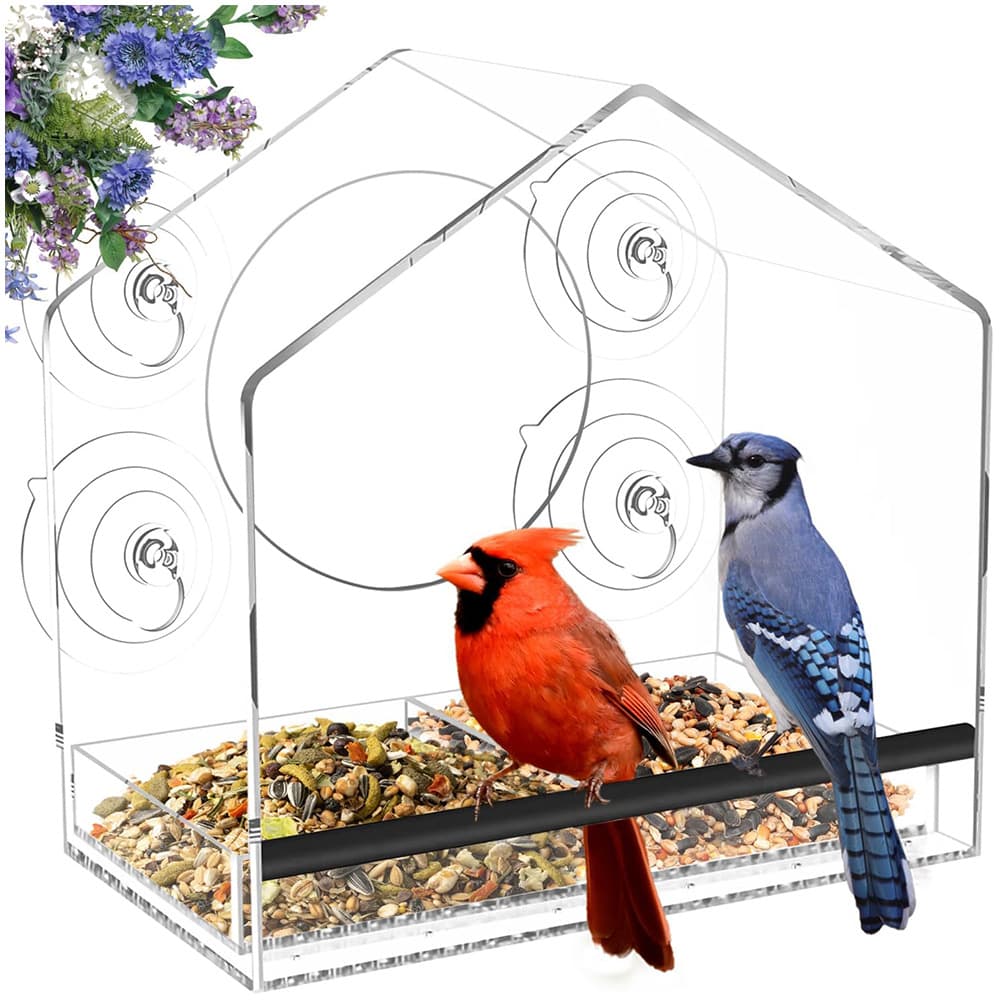 Cross-border special supply of transparent wall-mounted four large suction cups acrylic bird cage bird feeder outdoor bird pet supplies
