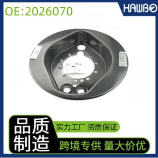 2026070 Brake Disc and Cover Plate for SCANIA