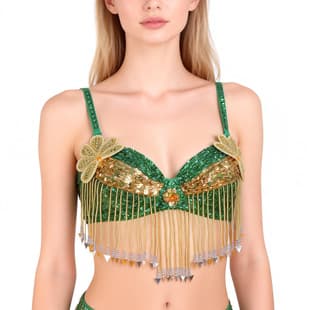 Belly Dance Beaded Bra, Indian Dance Performance Top, Sexy Stage Costume, Sequined Bra for Nightclub & Annual Party Performance