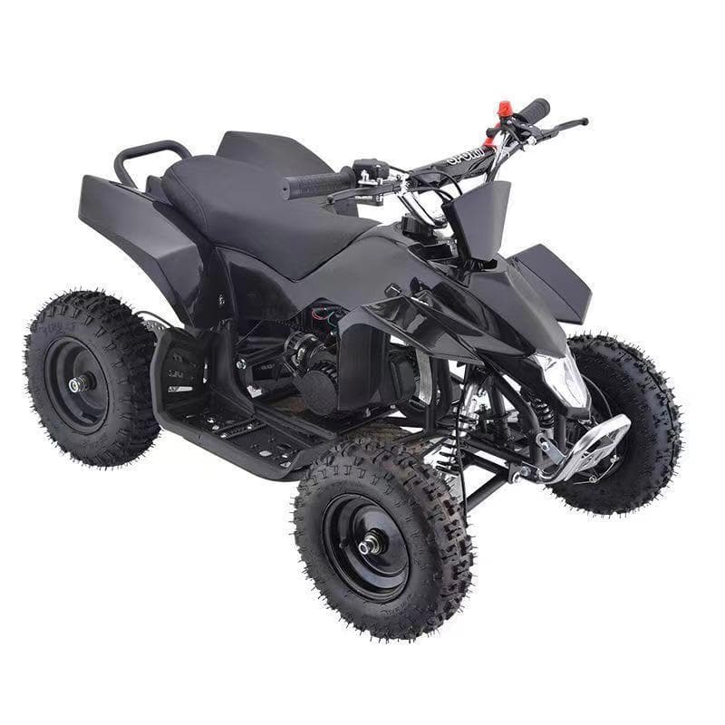 49CC Kids ATV Quad Off-Road Sand Buggy 4-Wheel Beach Vehicle