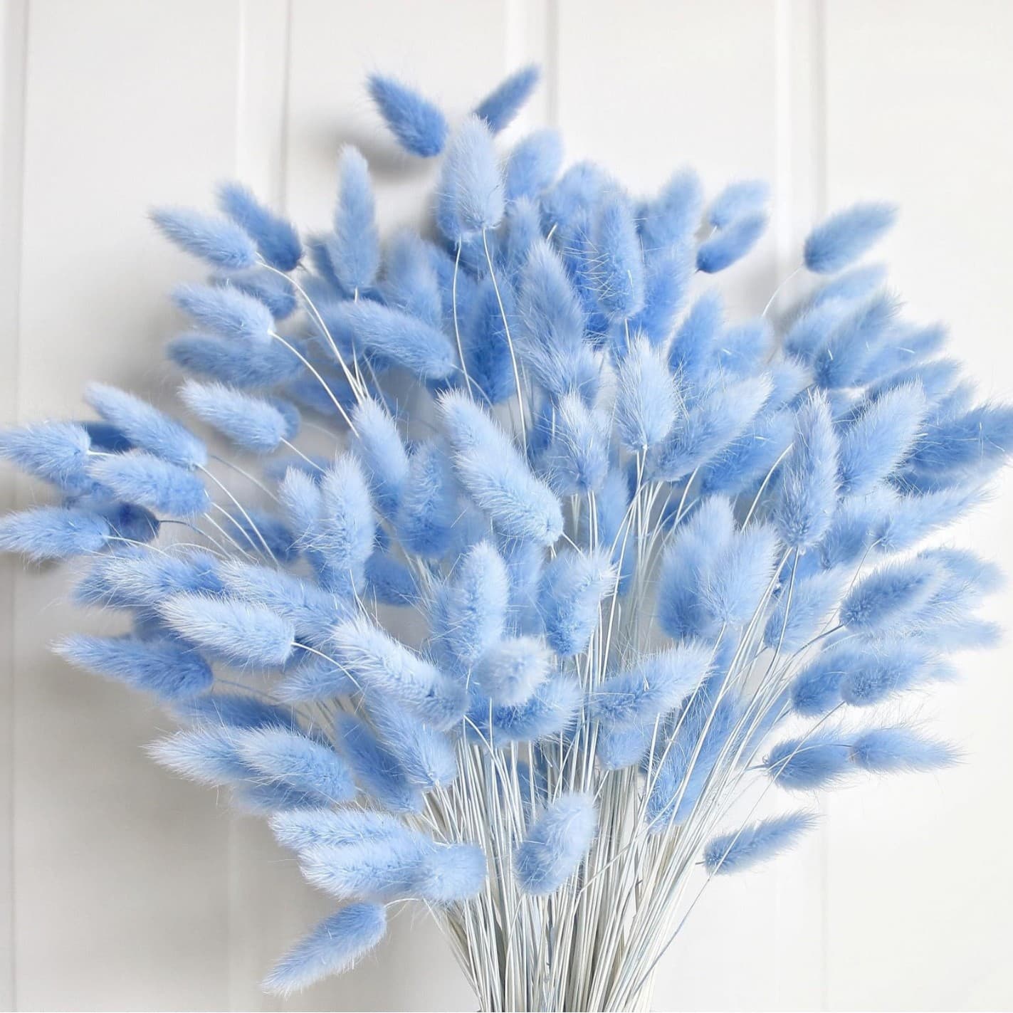 Cross-Border Hot Sale Sky Blue Bunny Tail Grass DIY Material Kit, Home Decor Ins Style Dried Flowers, Real Flowers, Bohemian Style