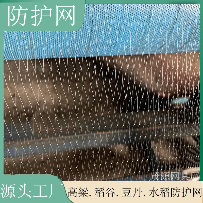 Disposable Protection Net for Cherry Trees, Fruit Orchards, Vegetable Gardens, Farmlands, Greenhouses, Rice, Sorghum, and Beans