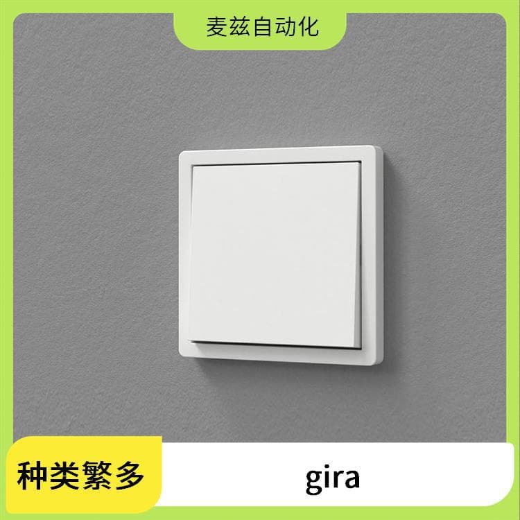 Gira Rocker 2-Gang Arrow System 55 P.White Switch 021350