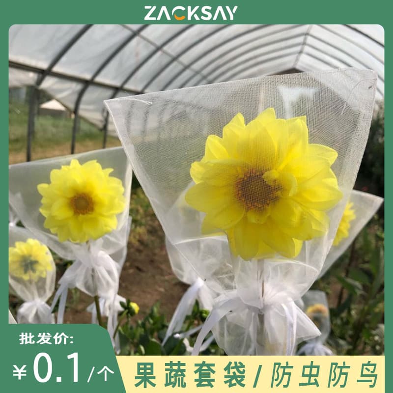 Orchard Fruit Vegetable Insect-Proof Breathable Mesh Bag Fig Tomato Grape Bird-Proof Transparent Gauze Protective Bag