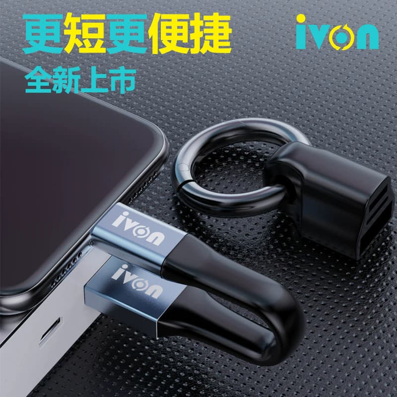 Keychain Data Cable Short Portable Fast Charging Cable 3A for Apple Android Type-C Phones Wholesale