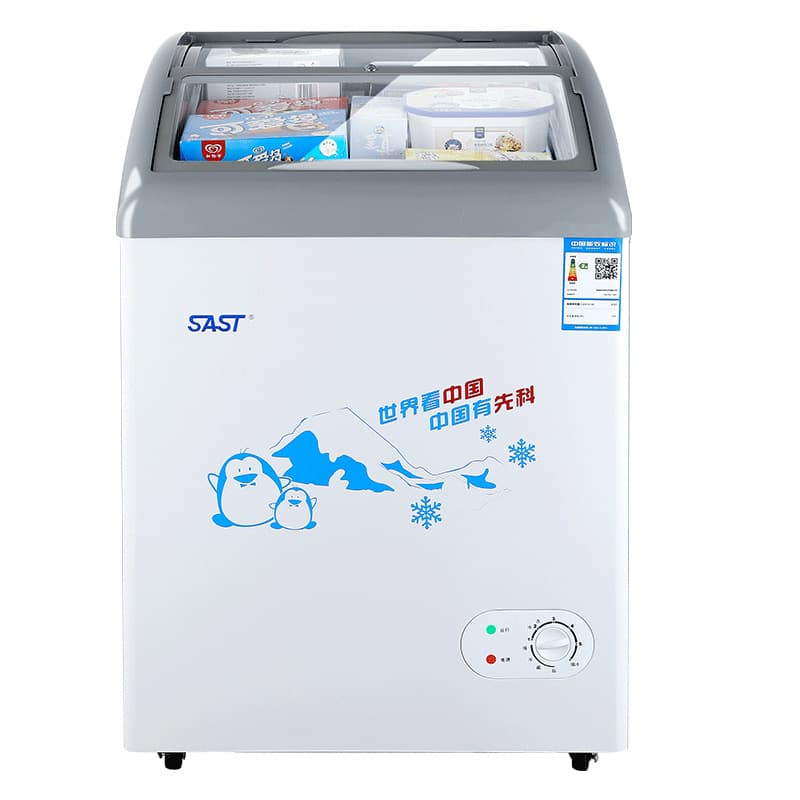 Ice Cream Freezer, Transparent Glass Door Display Freezer, Commercial and Home Use Freezing Refrigerator