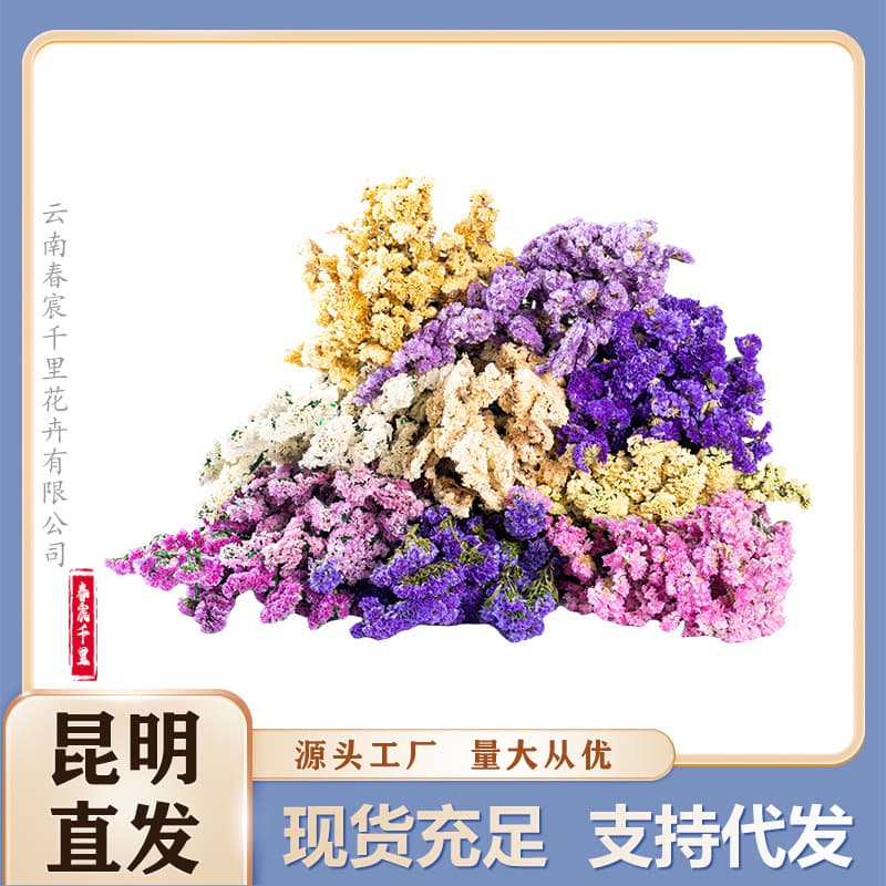 Forget-me-not dried flowers wholesale Yunnan origin straight hair immortal flowers forget-me-not bouquet decoration accessories in stock