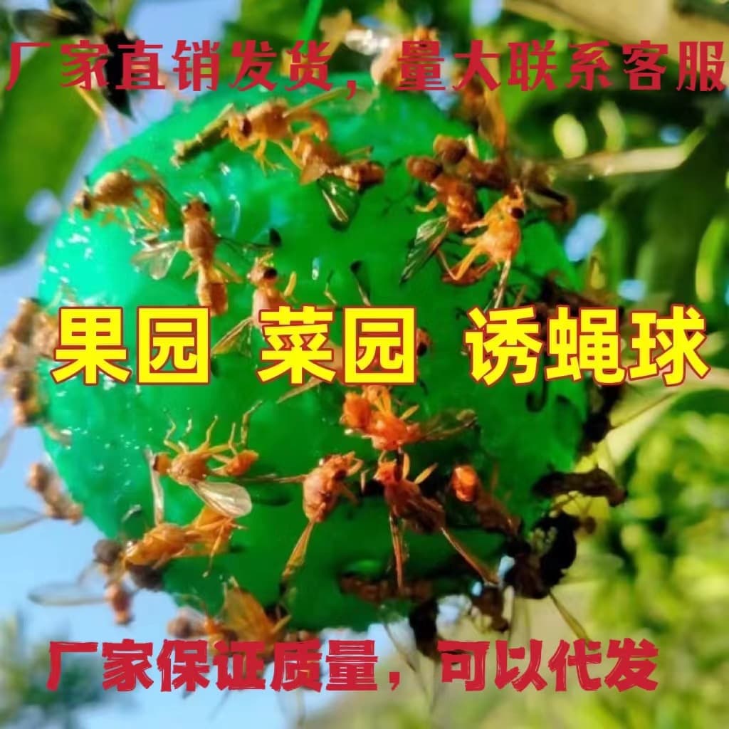Fruit Fly Trap Ball Sticky Insect Ball Citrus Needle Fly Yellow Green Mosquito Ball Trap Insect Catcher