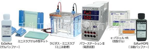 WSE-1165 Rapidus Mini Slab Electrophoresis Tank 8×9cm Gel