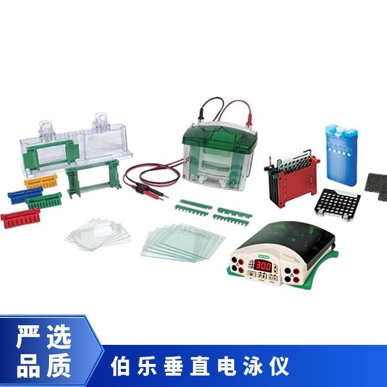 1658033 Electrophoresis Set Including Power Supply Bio-Rad Vertical Electrophoresis Apparatus Configuration Parameters USA Lainai