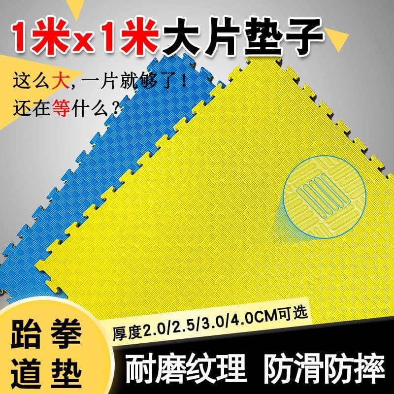 Taekwondo Mat Non-Slip Foam Floor Mat Puzzle Martial Arts Dance Training Thickened Mat for Gym Use