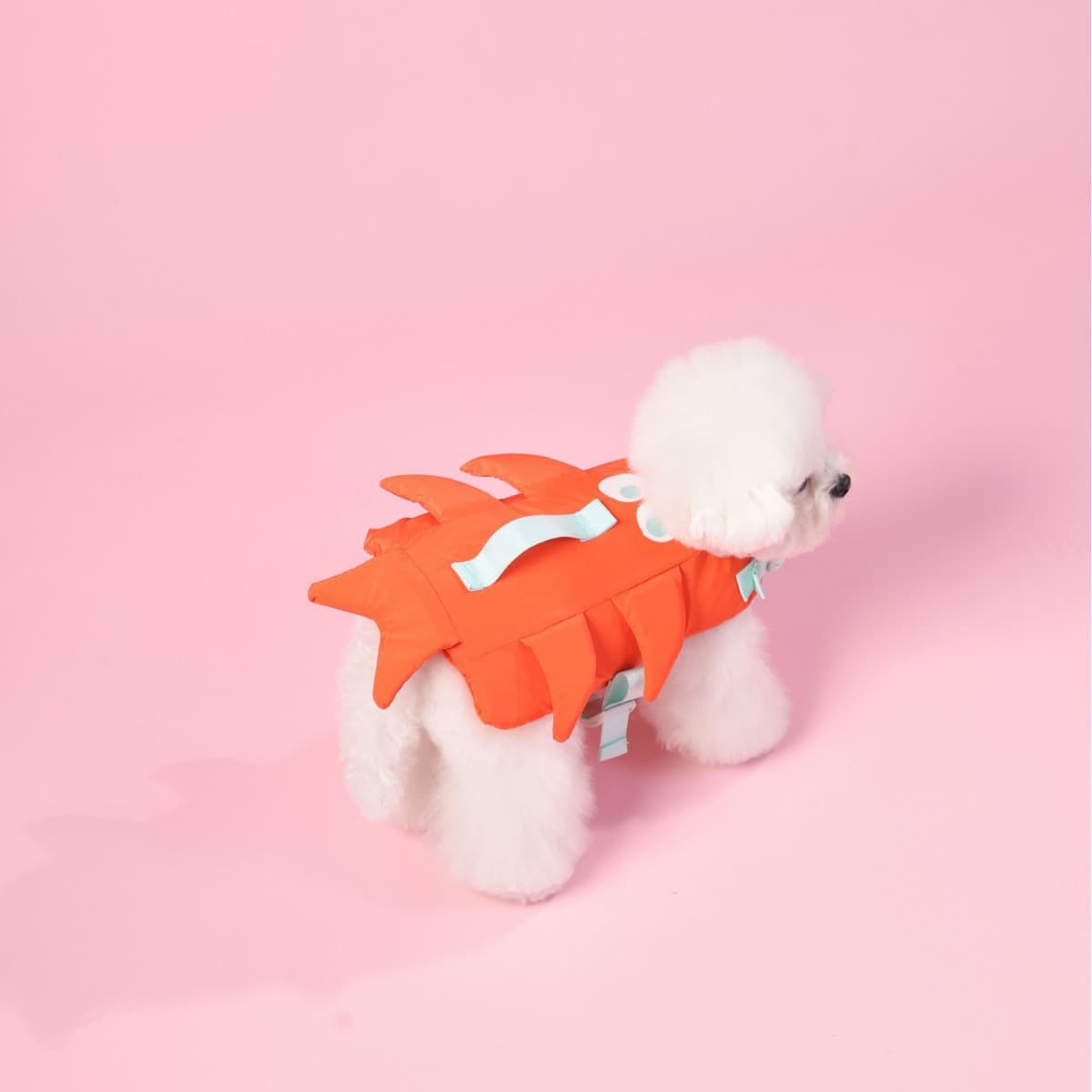 Dog life jacket, pet swimming special for seaside pool, buoyant small wings swimsuit, fun small dog special
