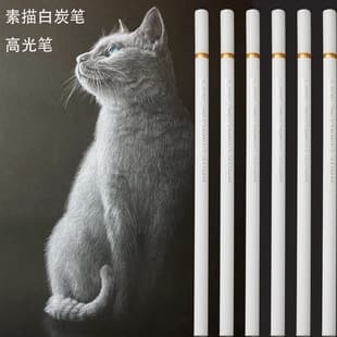 White Charcoal Pencil Highlight Pencil for Art Students Sketch Drawing White Charcoal