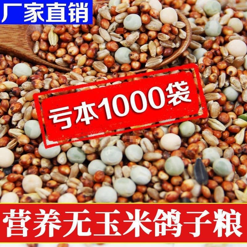 Pigeon Food Wholesale 10kg Wholesale Price Nutritious Corn-Free Pigeon Food 10kg Special Offer Food for Racing Pigeons White Adult and Young Pigeons 2.5kg