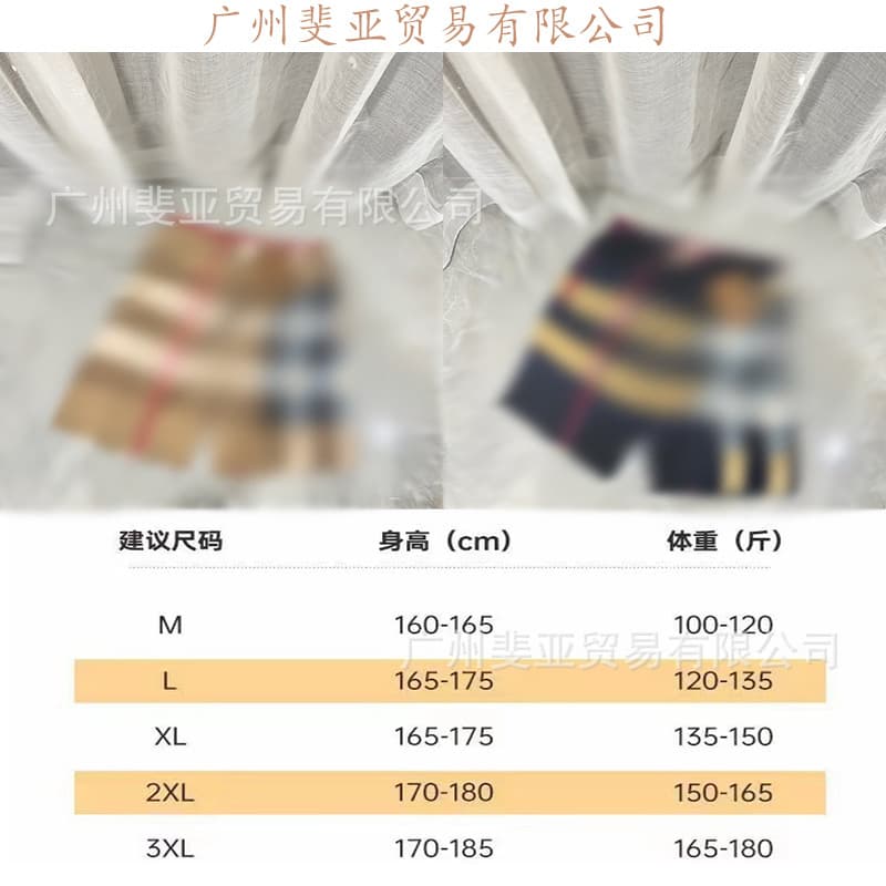 Cross-border 26SS Correct Version Classic Beach Shorts Men's Plaid Shorts Casual Pants Versatile Summer Wholesale for Export