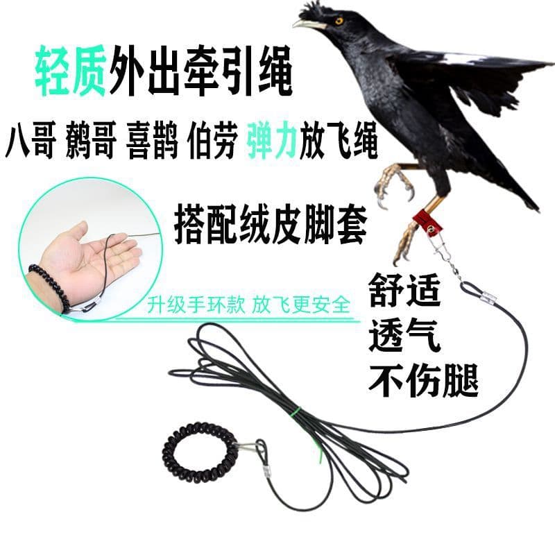 Lightweight flying rope for birds, domestic myna, white-necked crow, go out to lead the bird, the rope does not hurt the feet, velvet leather cover