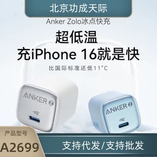 Anker Fast Charger PD30W/20W Phone Charger Ice Point A2698/A2699