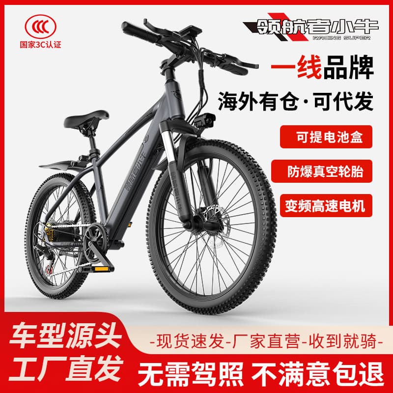 Factory Electric Assist 26-inch E-bike Mountain Commuter Off-road Lightweight Adult Electric Bicycle