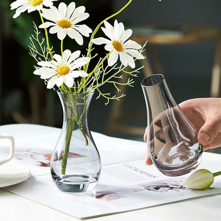 Nordic Ins Style Glass Vase Set Transparent Hydroponic Plant Flower Living Room Decoration Vase Ins Style