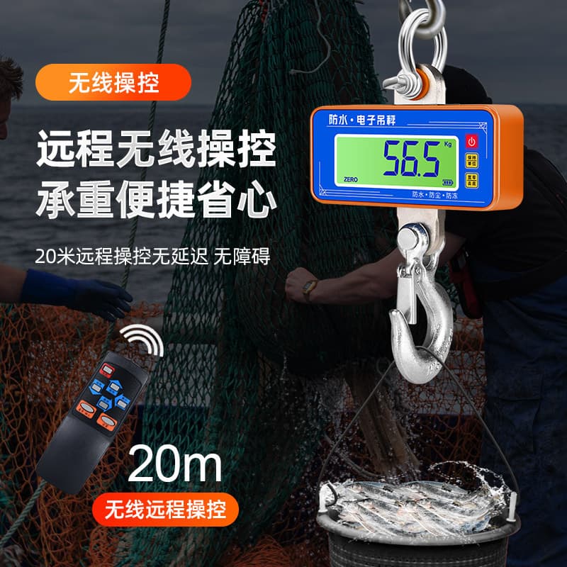Waterproof Electronic Crane Scale Hanging Hook Scale Digital Weighing Scale Wireless Crane Scale 1t Direct View Crane Scale