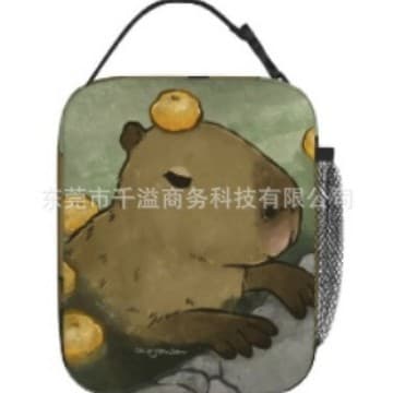 Cross-border Direct Selling Portable Lunch Bag Kapi Bala Full Print Factory Supply Square Lunch Bag for Primary School Students Picnic Bag