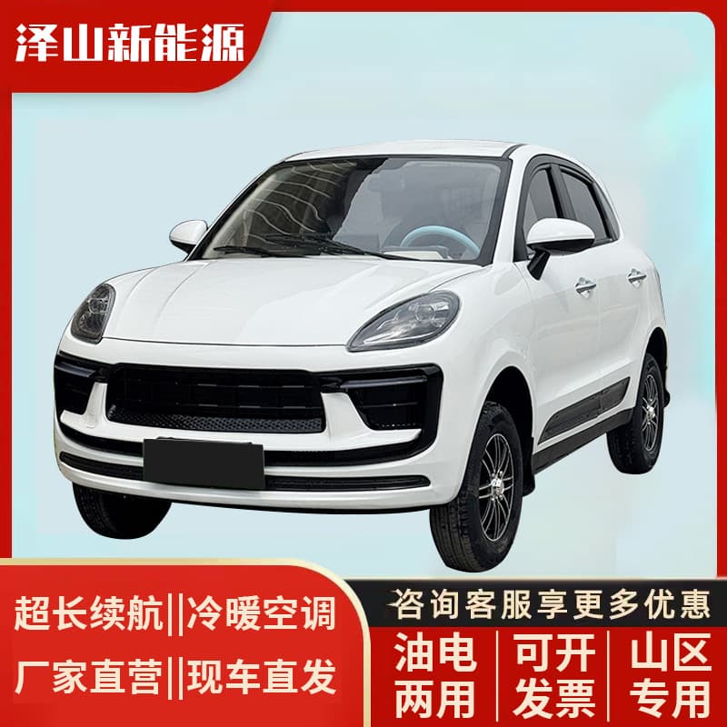 Cayenne Four-Wheel Electric Vehicle New Model Home Lady New Energy Small Electric and Gas Air Conditioning Scooter Battery Car
