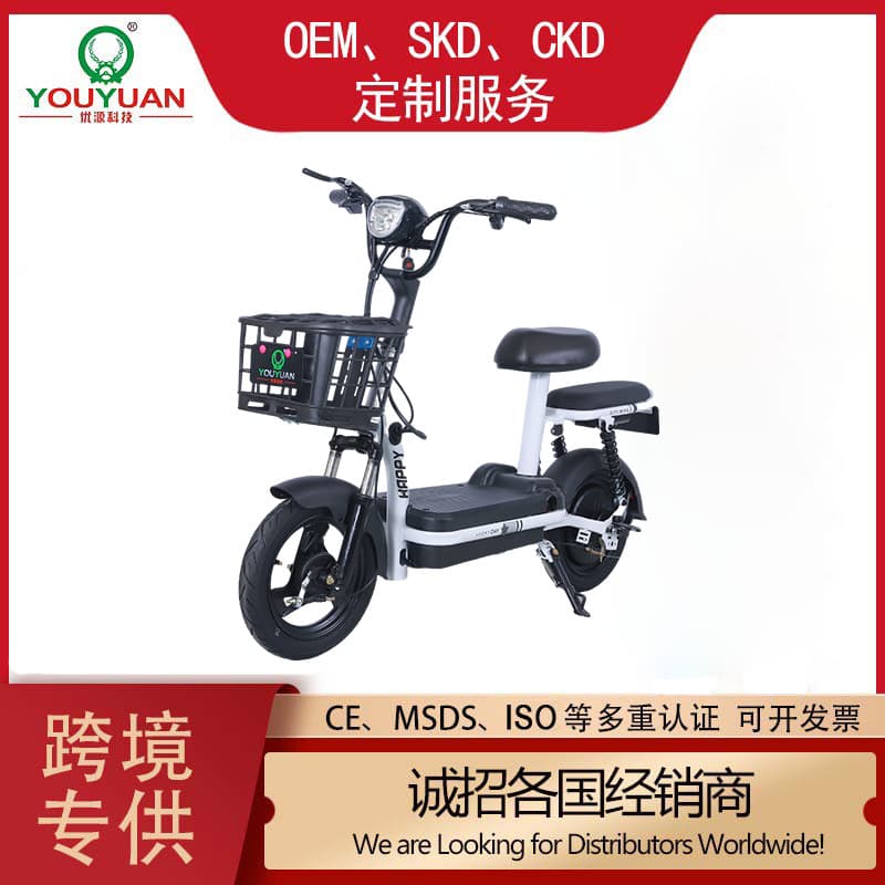 Export electric vehicle battery vehicle new lightweight electric bicycle factory wholesale