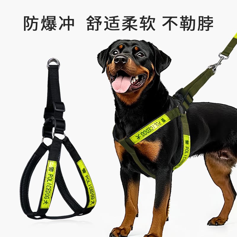 Cross-border Pet Foam Chest Harness and Leash Set, Adjustable Dog Leash, Walking Rope, Collar Dog Rope
