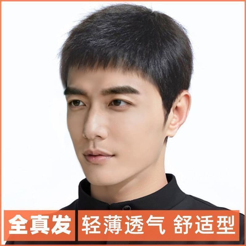 Men's Wig Full Real Human Hair, Short Crop, Full Cap Style, Covers Baldness and Gray Hair, Natural Real Hair Strands