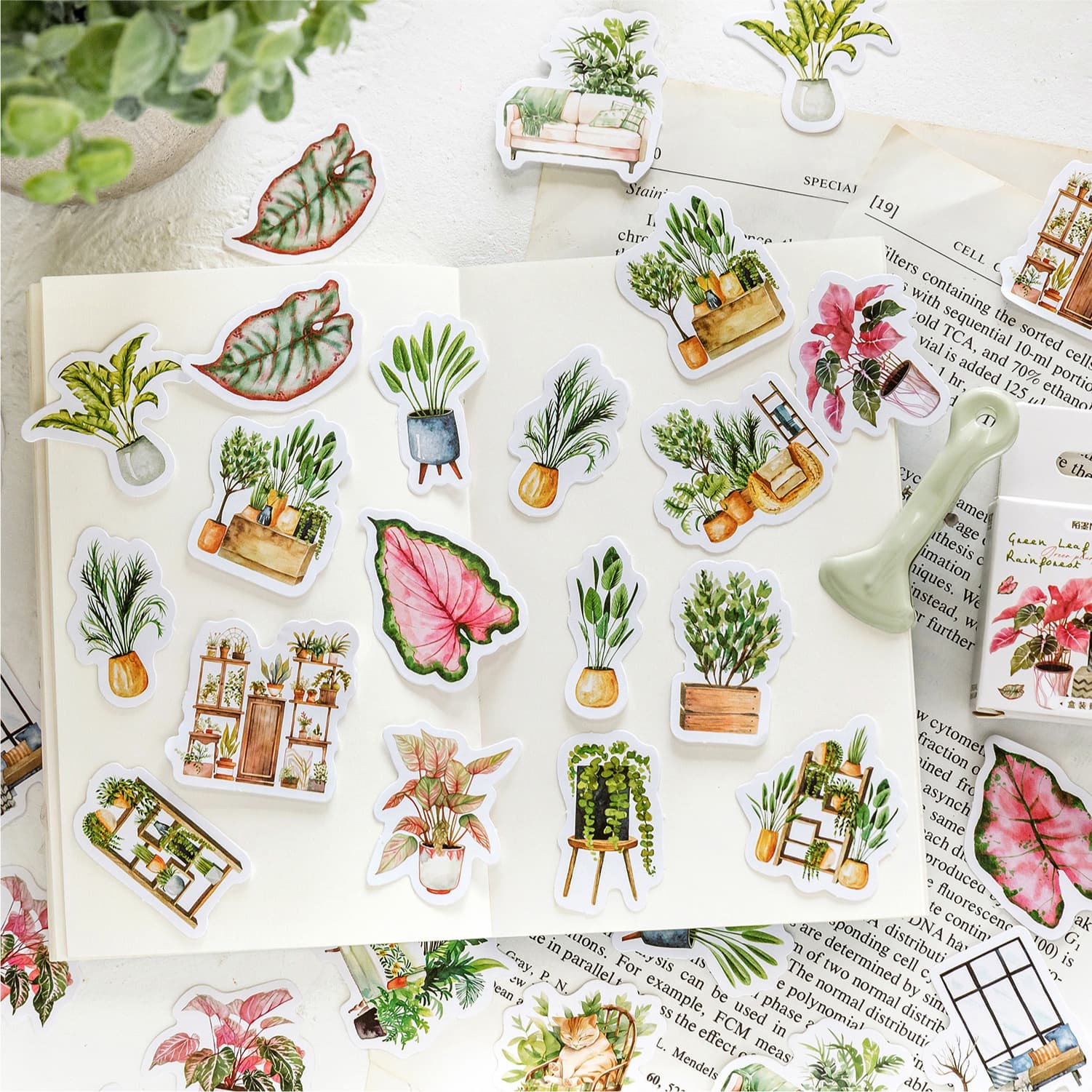 Mo Mo Boxed Sticker Girl Flower Combination Colorful Hand Account Decoration Base Material Sticker 45/46