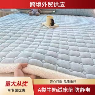 Class A Maternal-Infant Grade Milk Fleece Mattress, Autumn/Winter Foldable Washable Anti-Static, for Student Dormitory Single/Double Soft Pad