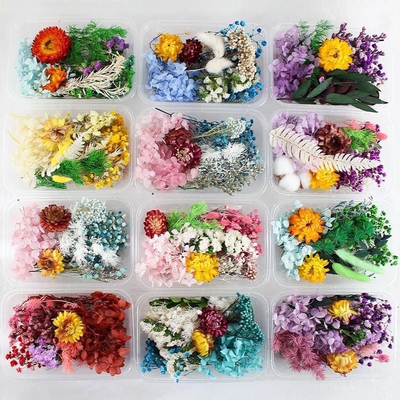 Mixed Dried Flowers Preserved Flowers Floating Flowers DIY Epoxy Candle Photo Frame Round Fan Pressed Flowers DIY Materials Non-Wilting