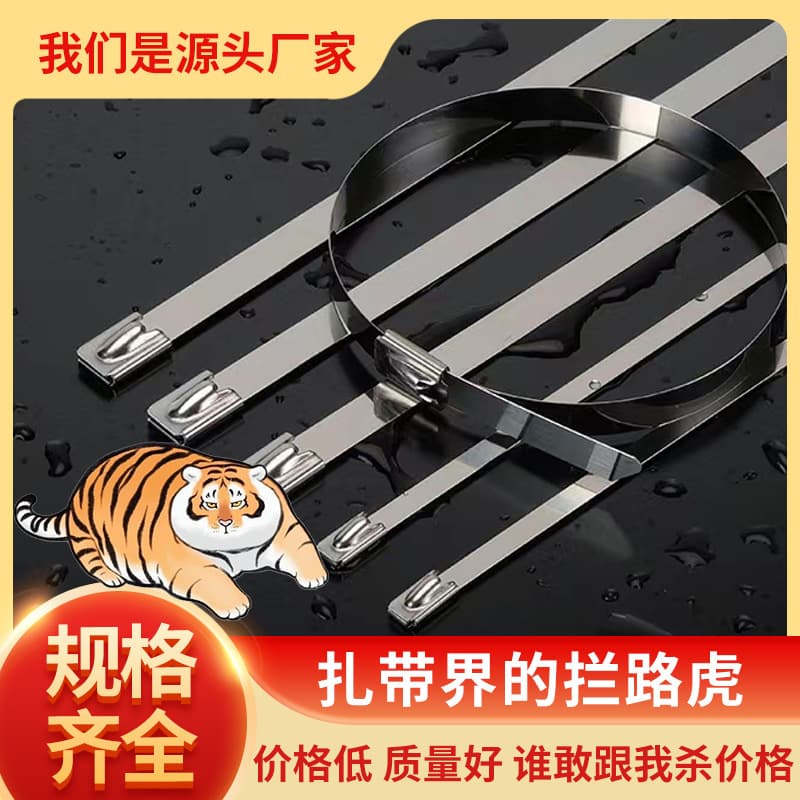 304 Stainless Steel Cable Ties 4.6*200 Self-Locking Metal Zip Ties Marine Releasable Buckle White Steel Binding Cable Tray