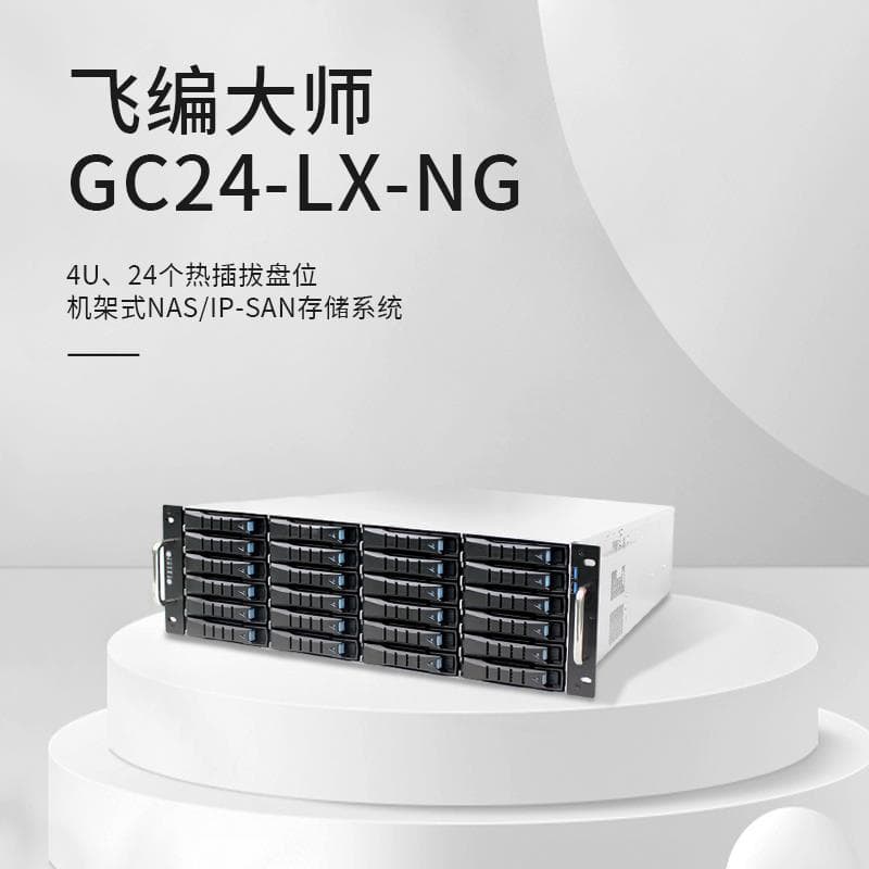 Feibian Master GC24-LX-NG Domestic 10GbE Disk Array Enterprise Network Storage