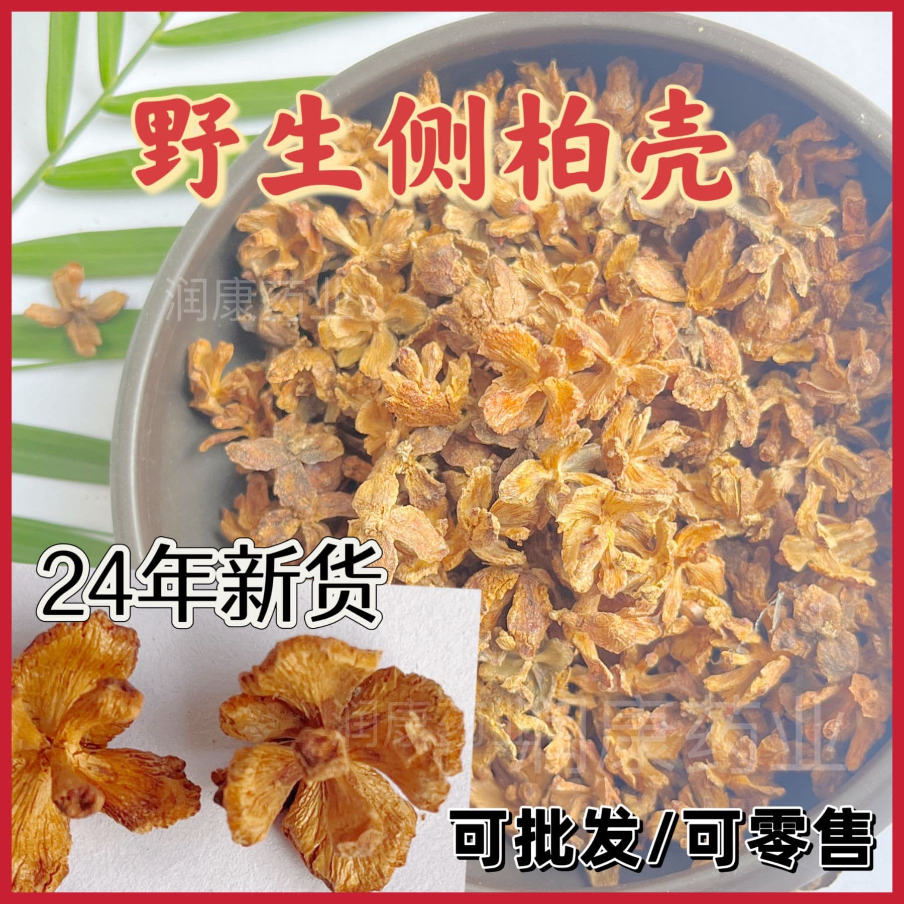 Wild Platycladus orientalis shells, cypress seed shells, bulk pillow filling cypress seed shells for white hair