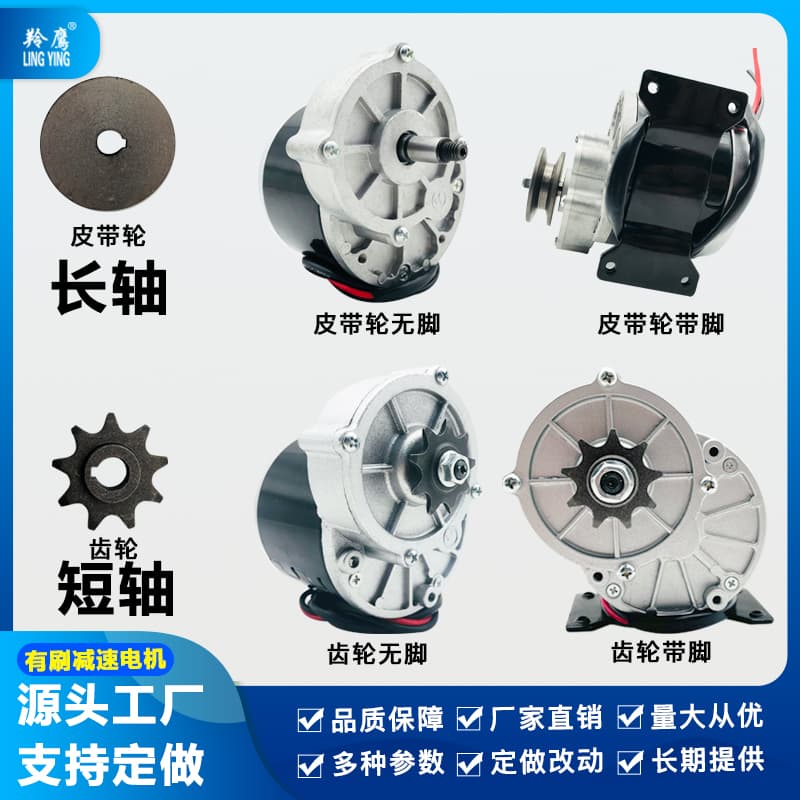 Lingying 12V 24V 36V 250W 350W Brushed Geared Motor MY1016Z2 Unite Same Model Long Shaft Gear