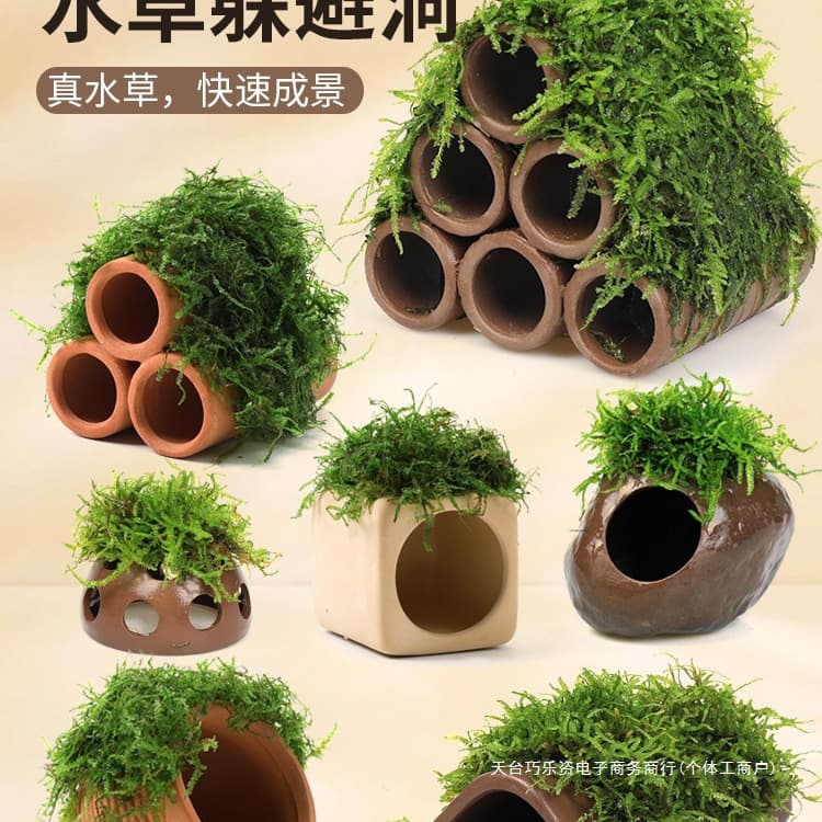 Aquarium Moss Ceramic Pot, Aquatic Plant Landscape Real Plant Fish and Shrimp Hiding Cave, Shrimp House Small Ornament, Small Fish Breeding Shelter