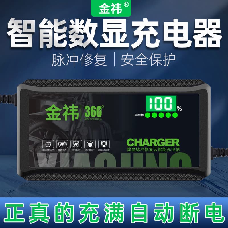 Battery level display for electric tricycle battery charger 48V 12AH 20AH 60V 72V Aima Yadi Tailing