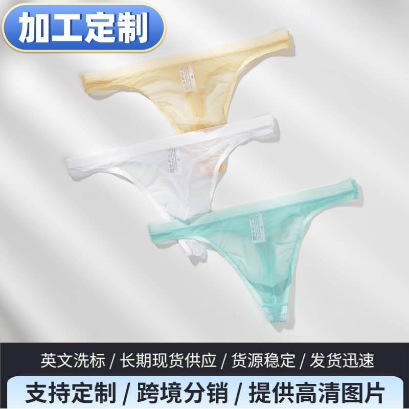 Men's Mesh Briefs Transparent Thong Ultra-Thin Sexy T-Back Underwear Sexy Youth Pants Factory Wholesale Custom