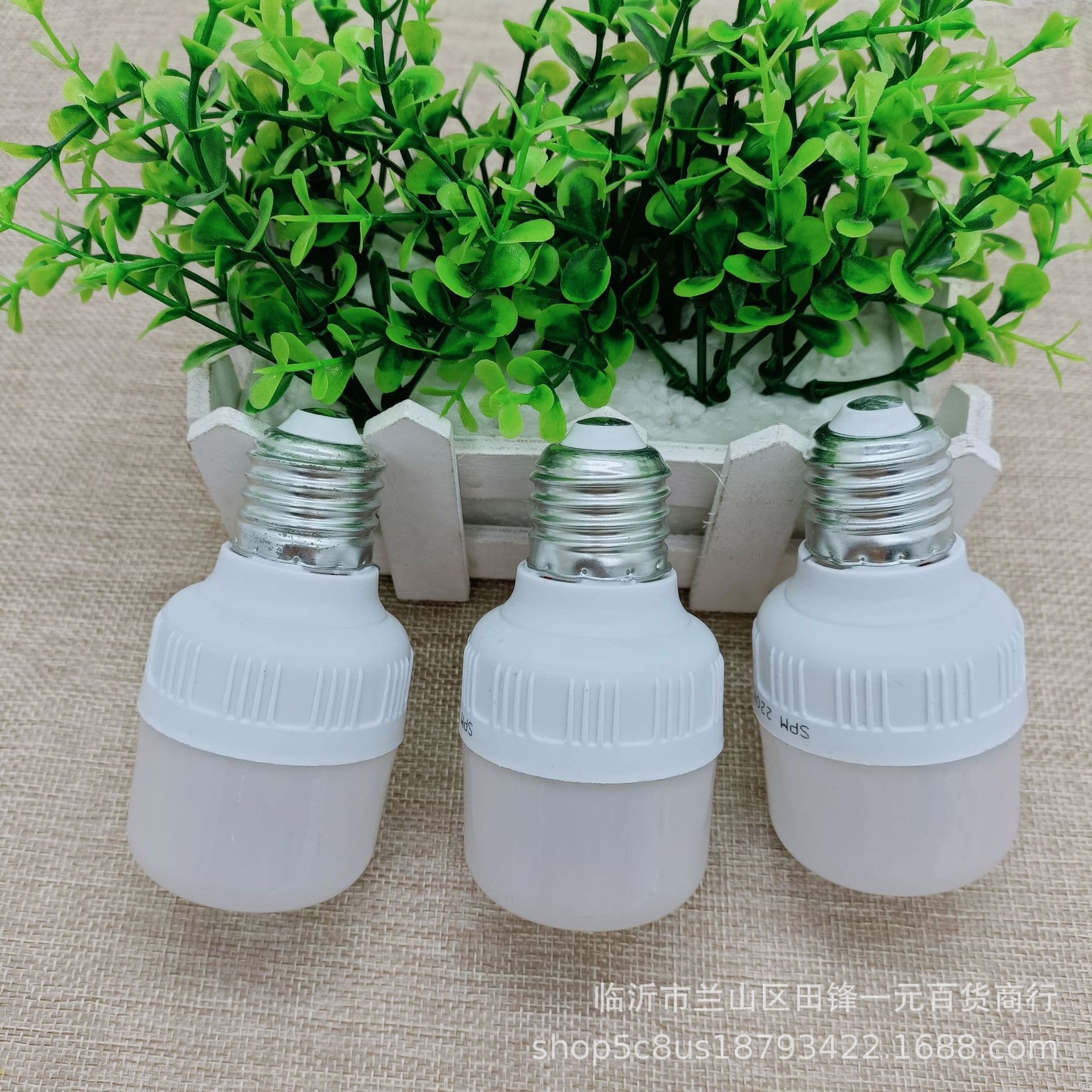 Dollar Store 10W LED Indoor Lighting Bulbs, Screw-in Incandescent Bulbs, Wholesale at $1 Each
