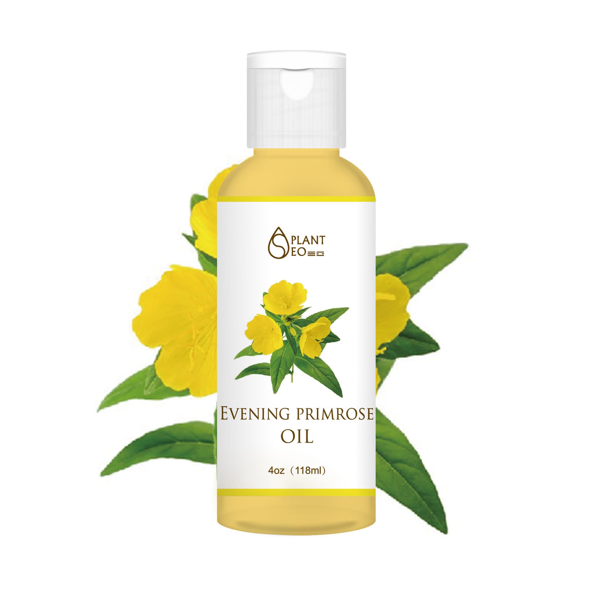 Amazon Evening Primrose Oil Cross-Border Basic Essential Oil 118ml in Stock from the Manufacturer