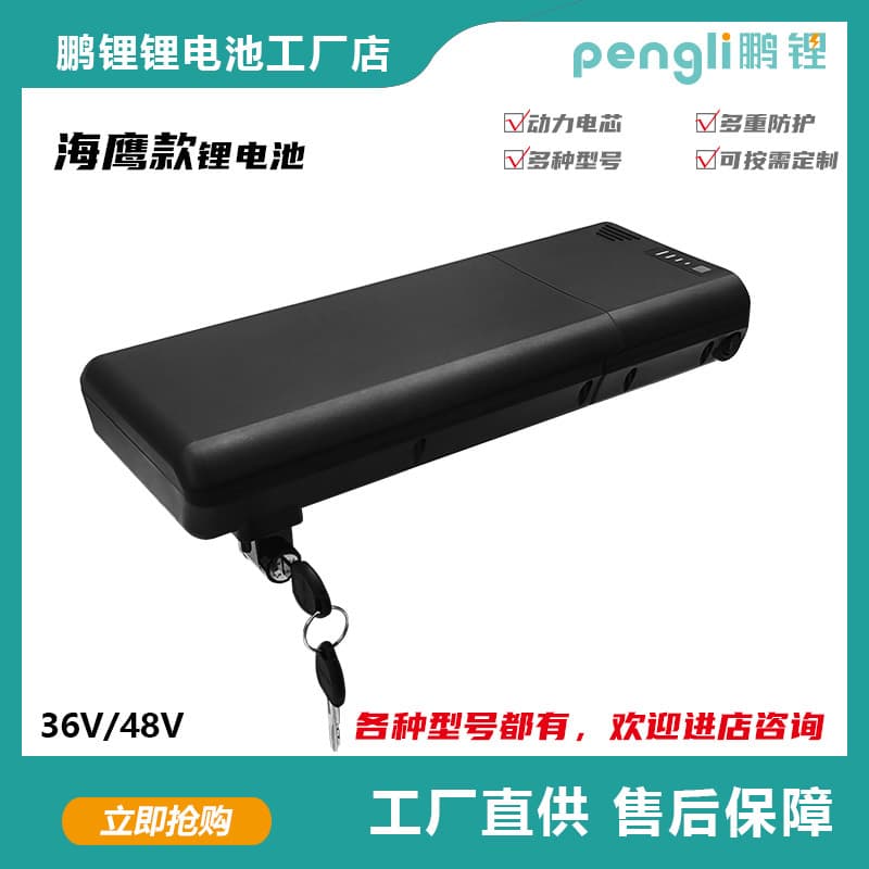 Sea Eagle 1 Rear Rack Lithium Battery 36V 48V E-bike Battery Cross-border Supply E-bike Battery