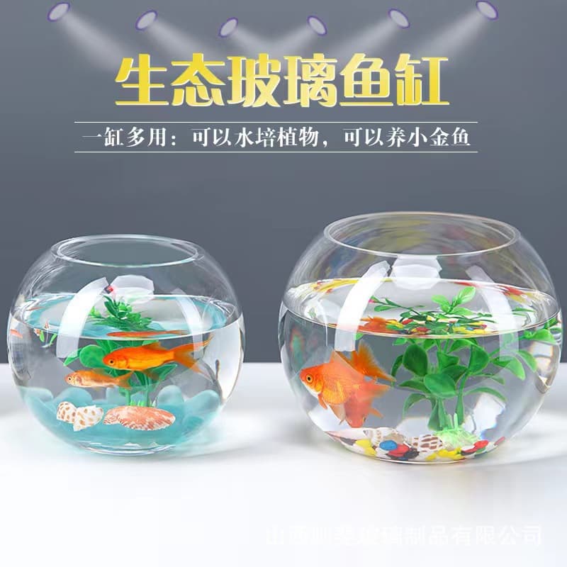 Large Glass Hydroponic Plant Pot, Office Desktop Water Culture Vase for Pothos and Pennywort, Round Transparent Fish Tank