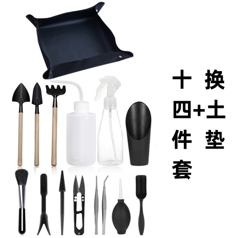 This set of tools is perfect for beginners and succulent growers, making gardening easier.