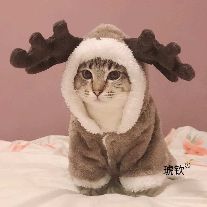Autumn and Winter Cat Clothes for Pets, British Shorthair, Blue Cat, Ragdoll, Kitten, Warm Elk Novelty Dog Winter Outfit