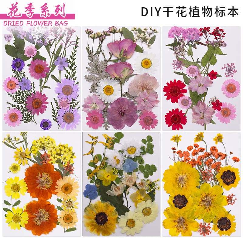 Real Dried Empress Flower Internet Celebrity Sticker Face Decoration Eye Corner Sticker Petal Makeup Bridal Makeup Flower Girl Portrait Plant Specimen