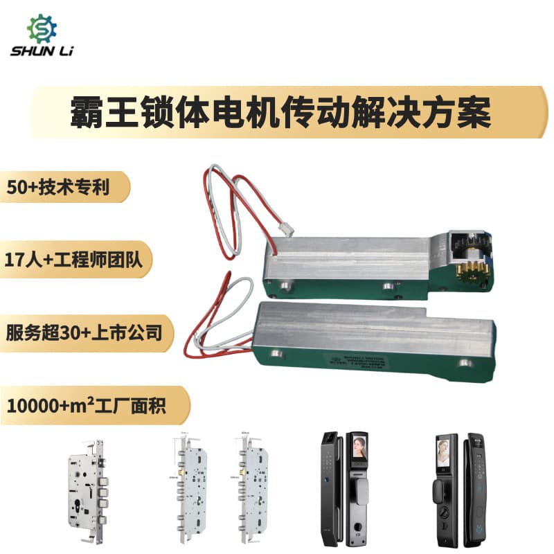 Domestic Overlord Lock Body Micro Gear Motor 6.6v~14v 50rpm Micro Gear Motor