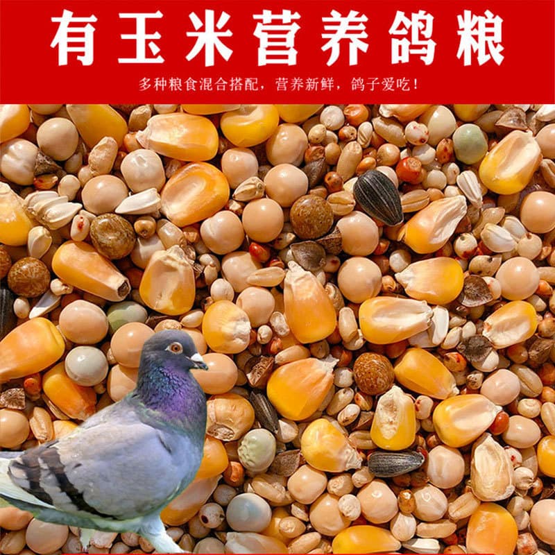 5 pounds of pigeon food with corn nutrition, pigeon food, young pigeon feed, bird food, carrier pigeon, ornamental pigeon meat, pigeon food, racing pigeon food